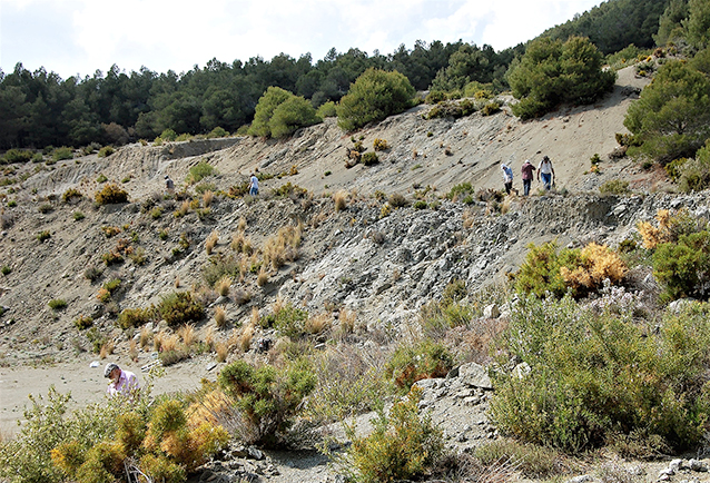 Los Arenales, Toràs (2)