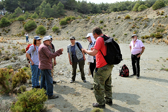 Los Arenales, Toràs (4)