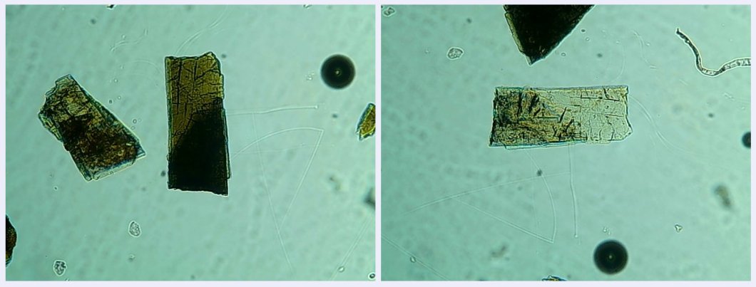 Fig 2. composicio dravita