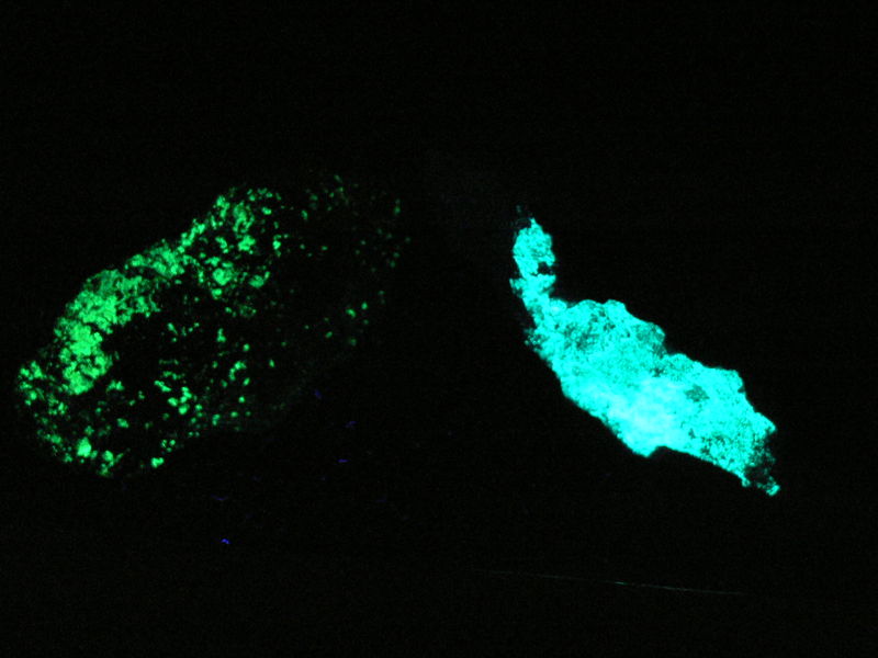 Fig 4. autunita i andersnita ona curta