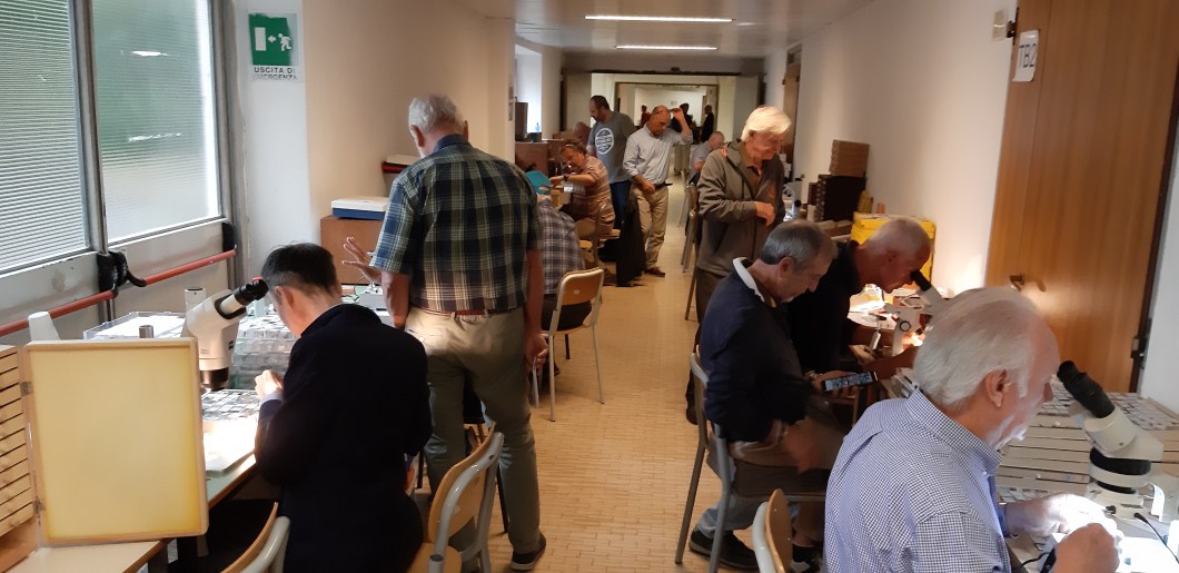 Cremona-set (20).jpg