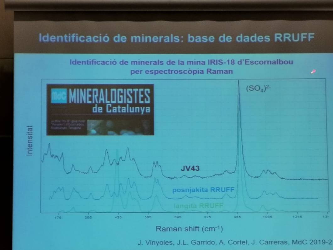 24-IMG-20191115-WA0077