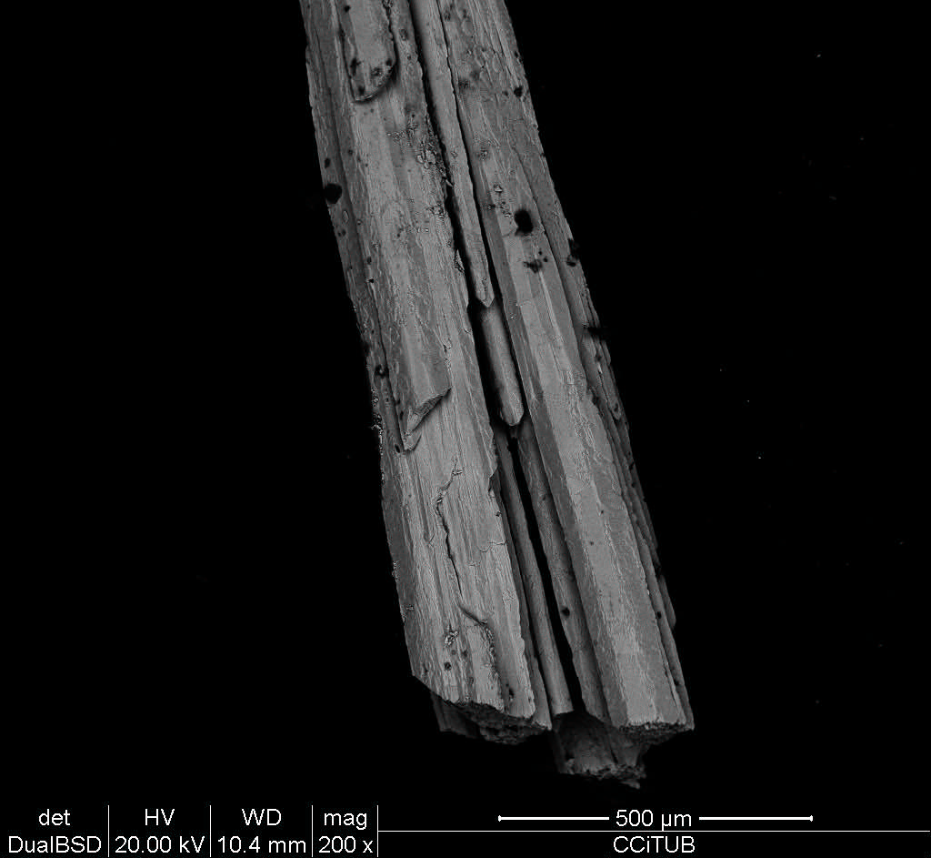 celestina granja escap backs imatge