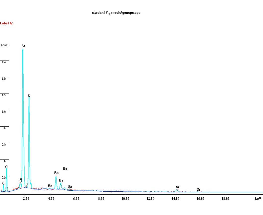 celestina granja escarp espectre