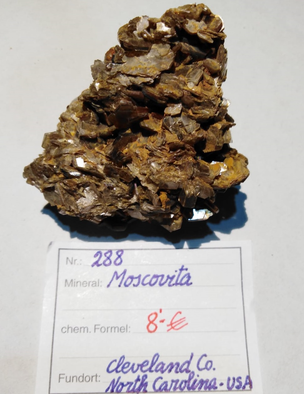 Foto 21 Carles Bel (1)