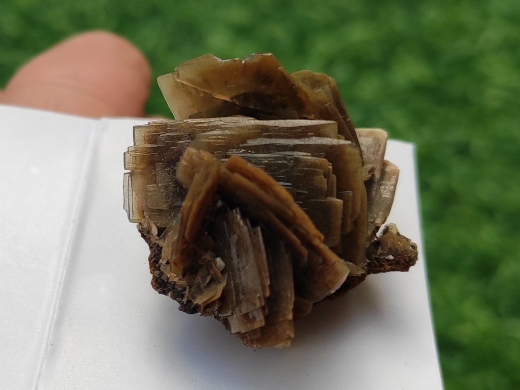 Barita-CanPalomares-Angel