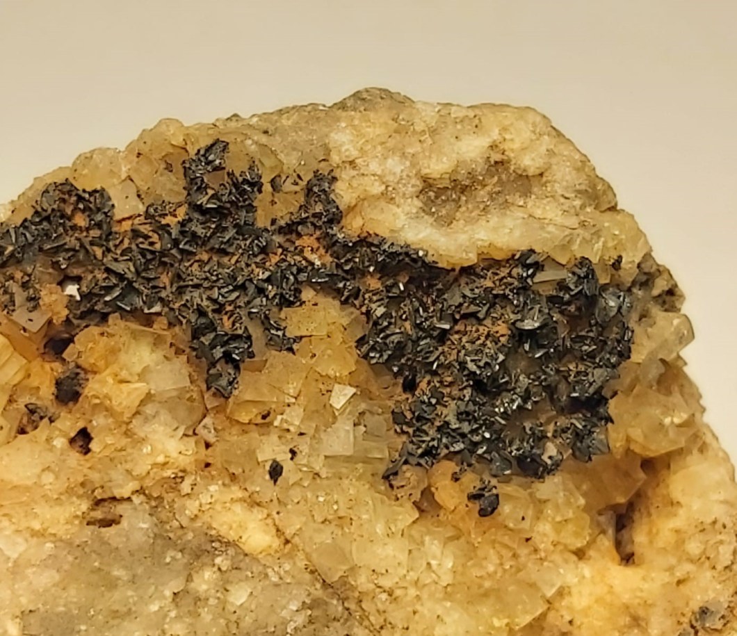 Cechita-Ulldemolins-Jordi