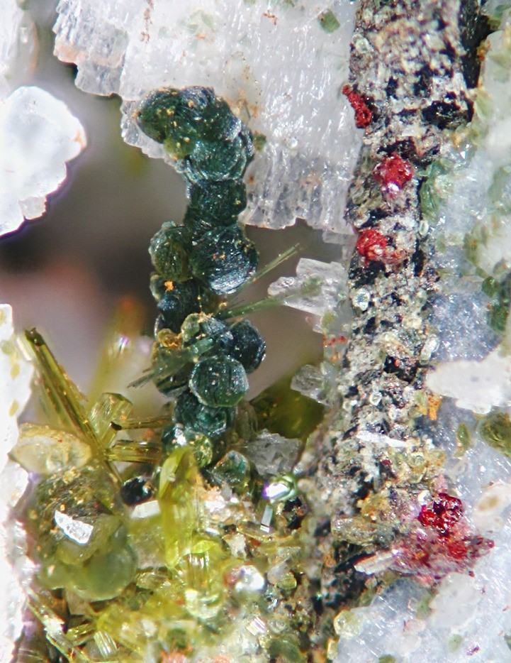 Clinozoisita-Clorita-Toras-Rosell