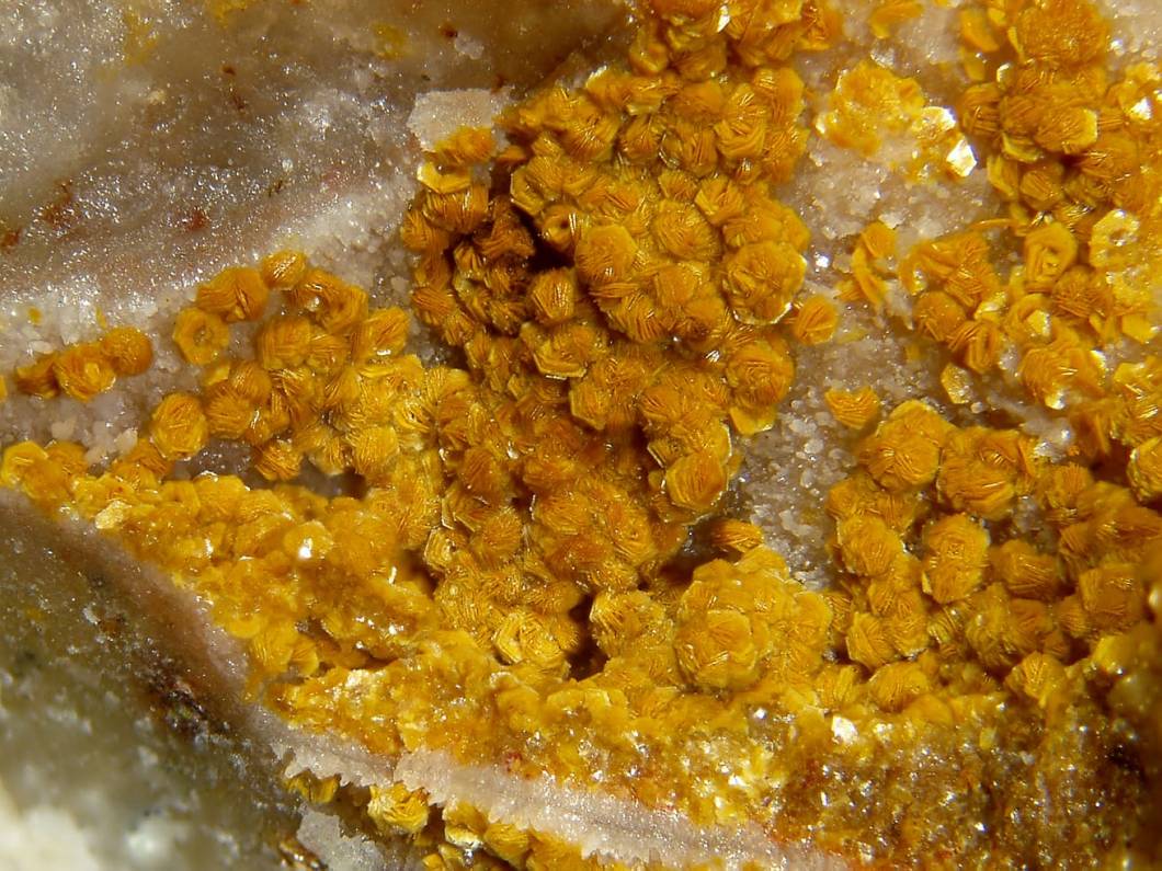 Goyazita-Palom-Garrido