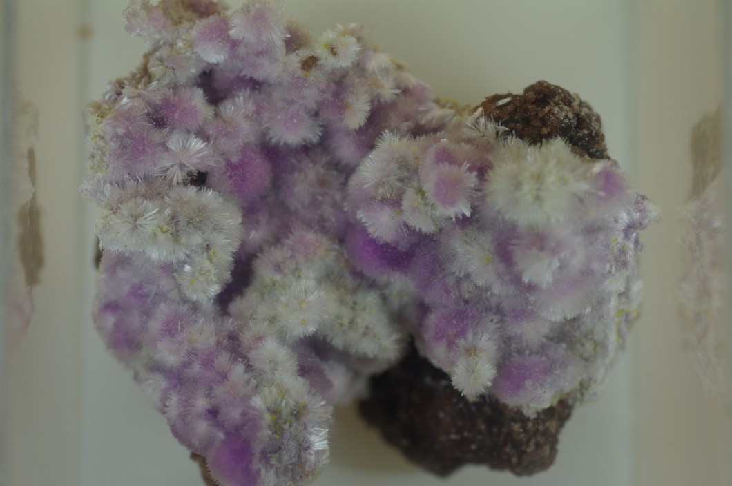 Kornelita-Alfredo-Samper