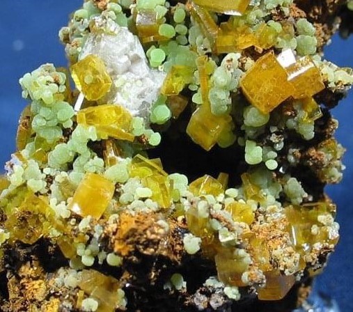 MimetitaAdamita-Ojuela-Xevi