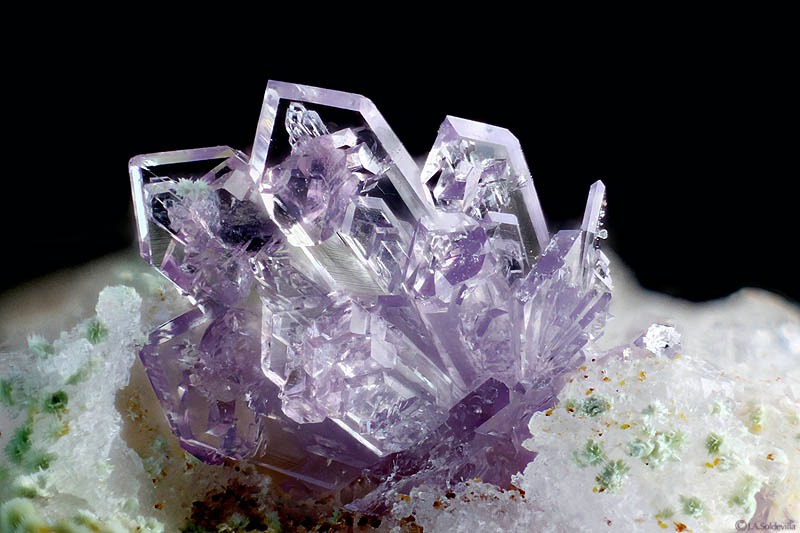 Strengita-Paloma-Solde