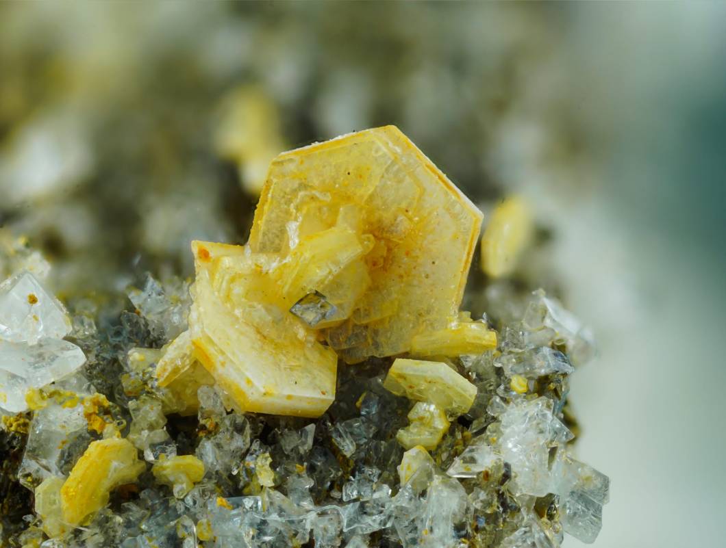 synchisita-Adra-FranGarcia